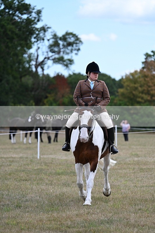 WJ7_5304 - Class 12 Ridden Cob