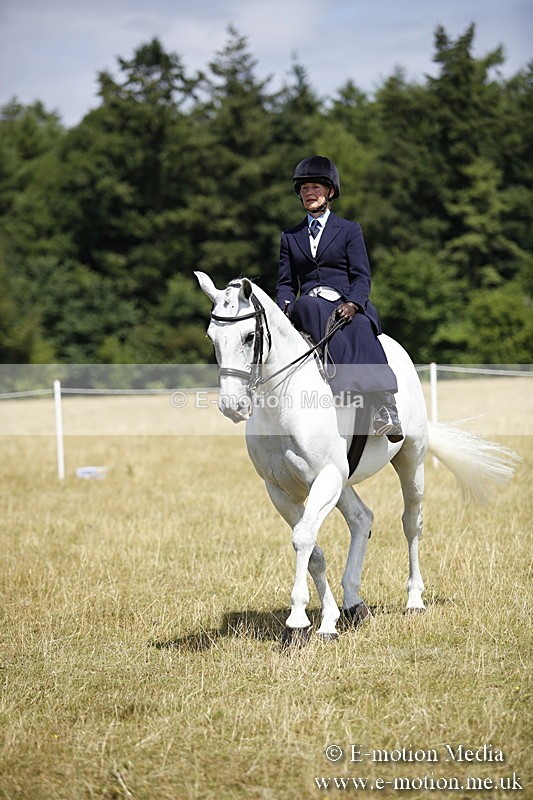 _C7A0229 - Side Saddle Classes BVRC Show 2018