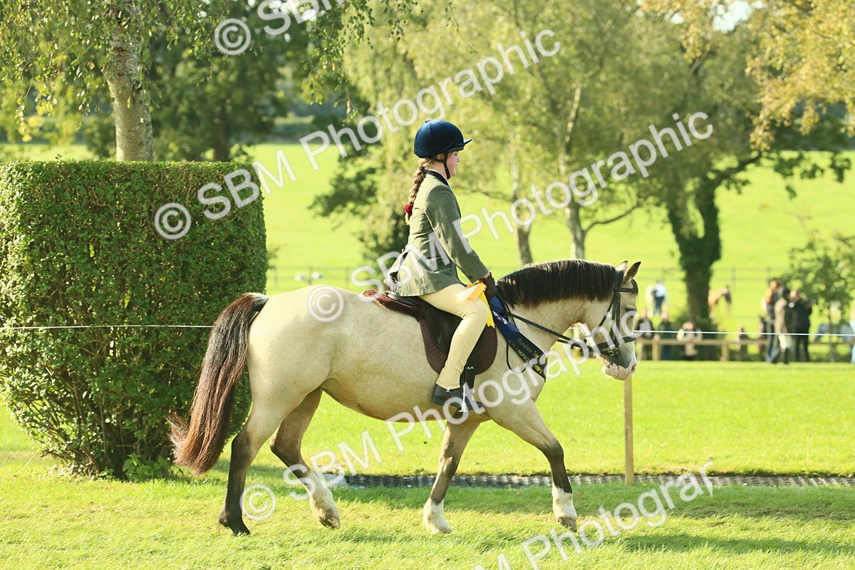 SBM_59282 - S38 - Starters Ridden Showing