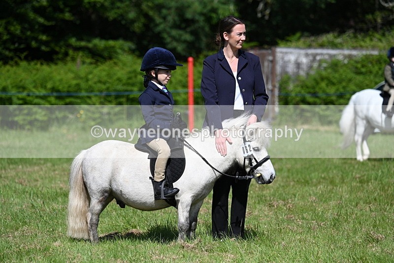 WJ7_0772 - Class 8 First Rally Pony