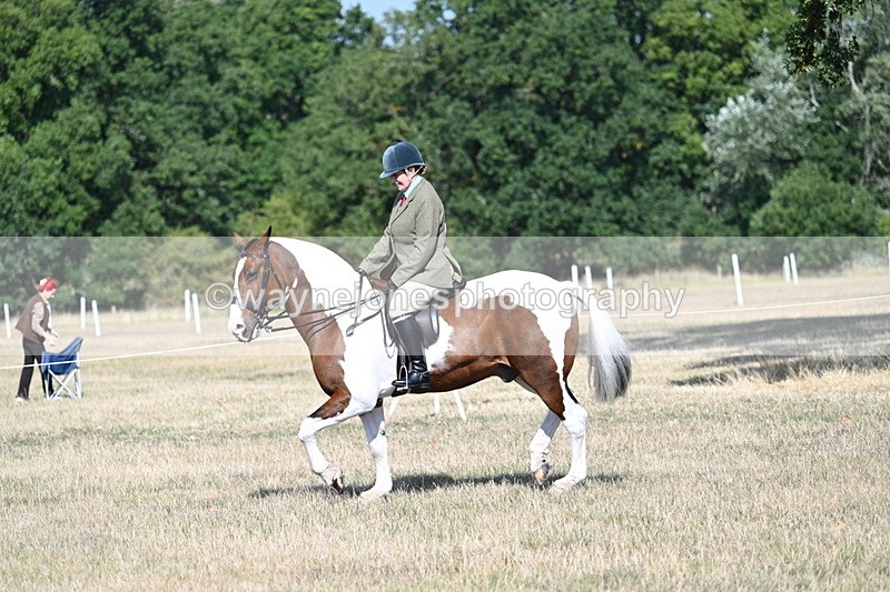WJ7_2846 - Class 8 Ridden Tack & Turnout