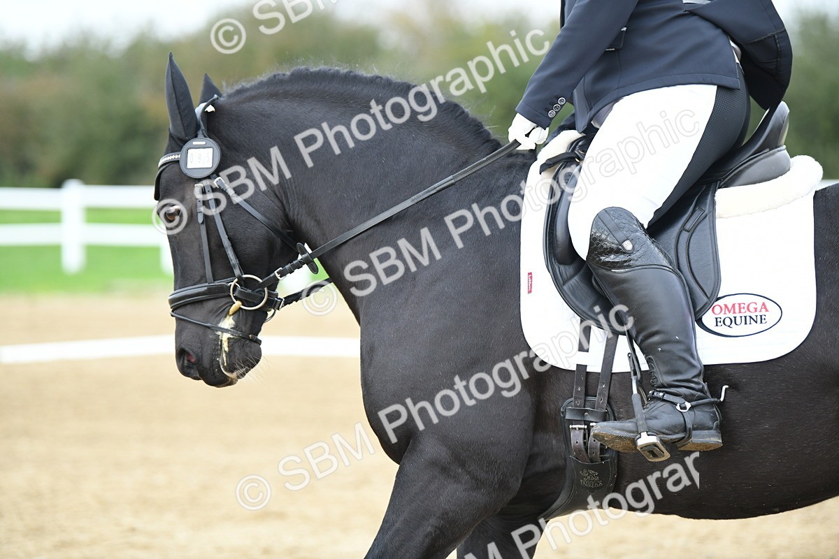 LAD_4551 - Novice Test 2