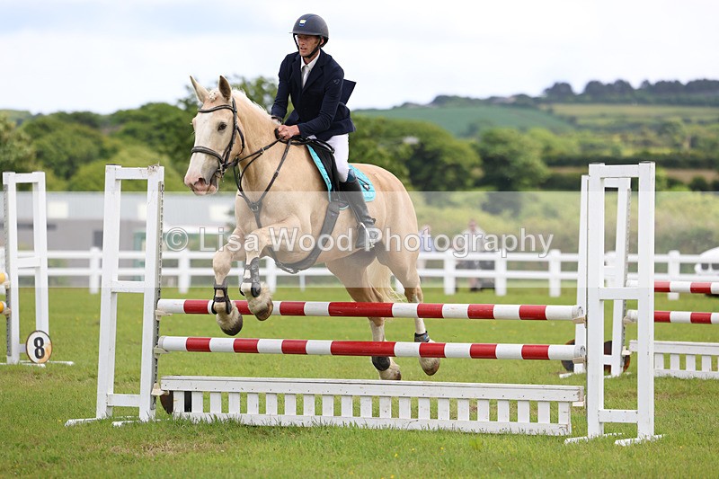 3E7A7641 - Class 13: Senior British Novice/90cm open