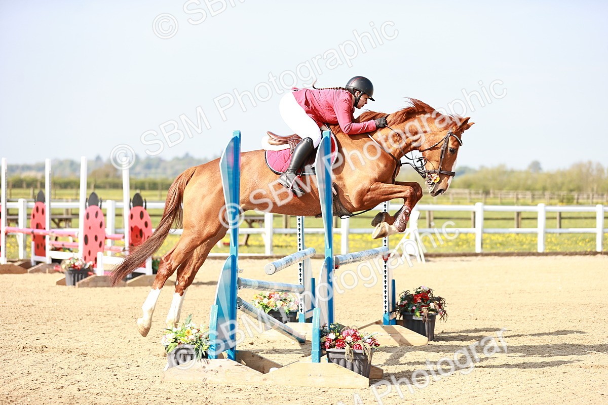  - Class 21 - Senior British Novice - 90cm