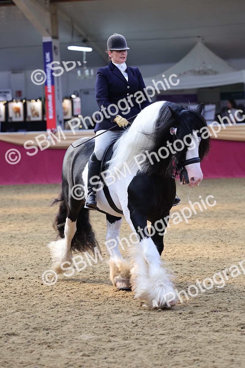 SBM_24131 - Class 905 - Supreme Final - Ridden Veteran