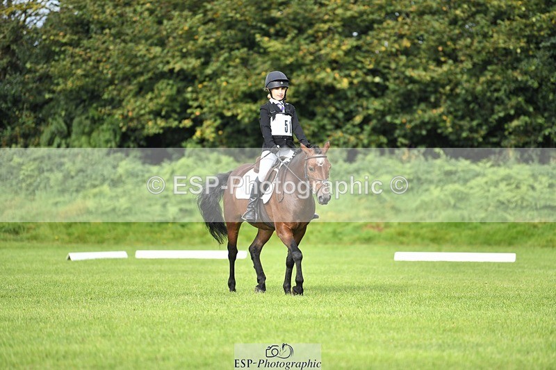 230826-090631-15033 - Sections C & D 9 to 10am