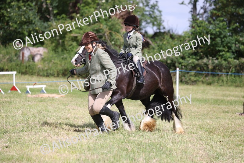 20260614-0624 - Class 20 - Beginners Working Hunter Pony
