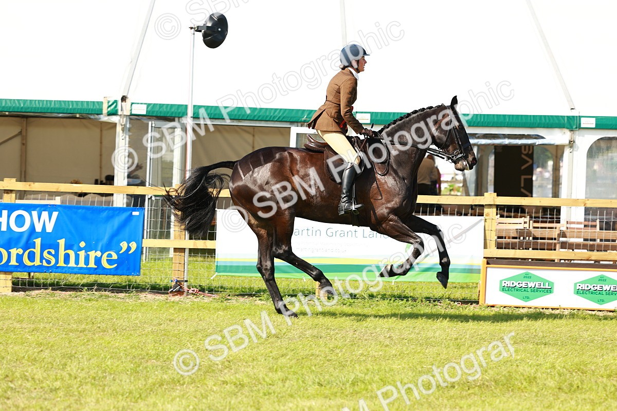 SBM_11967 - Class 66-69 - RIHS Ridden Hunters Inc Small Hunter