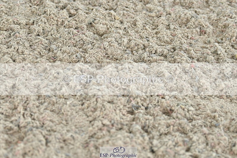 230721A-113535-05758 - Cls 18, 1 Star Silver 1.20m