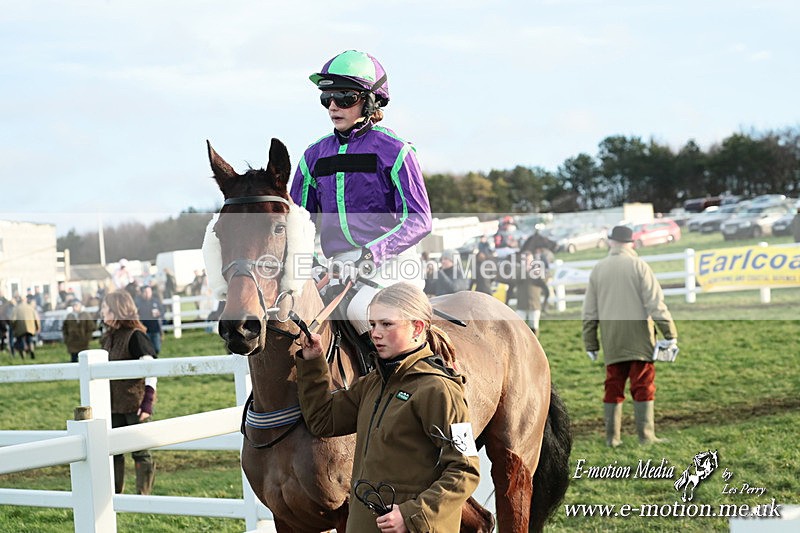 PtP 141225  2255 - New Forest Hounds PtP Larkhill 14/12/25