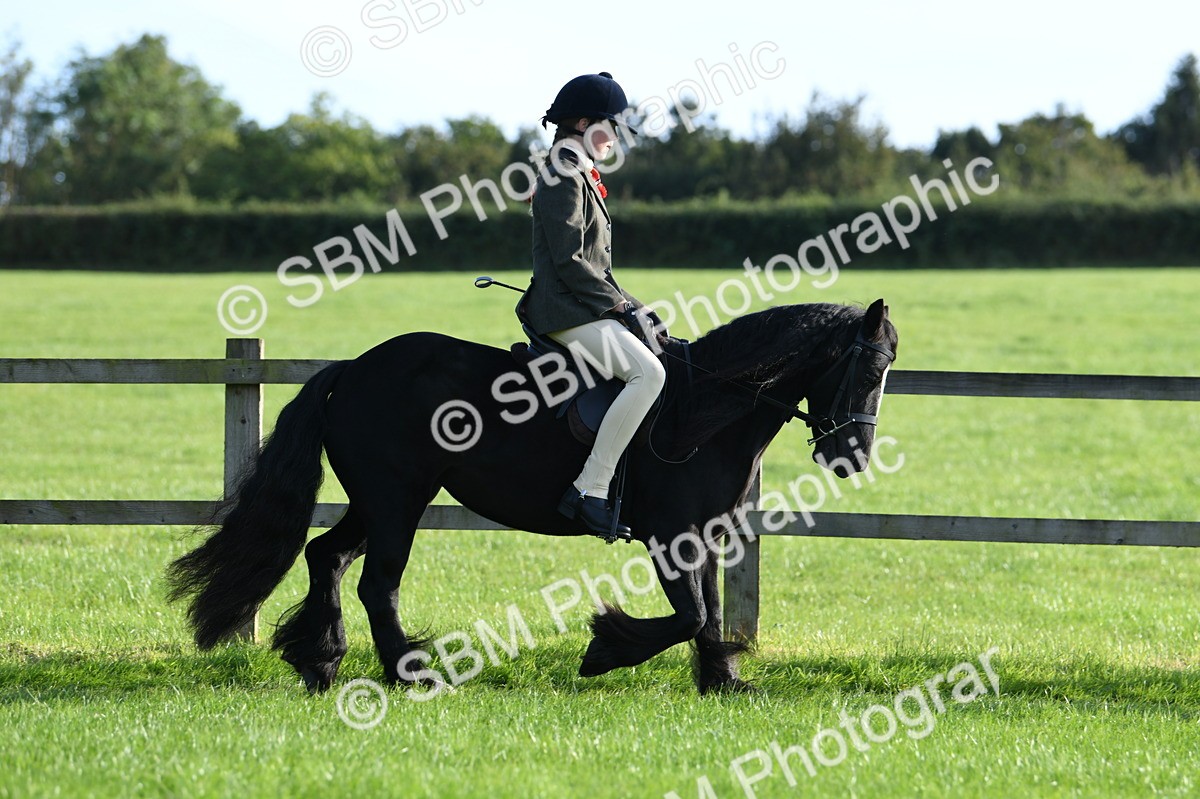 SBM_53991 - S23 - 1st Ridden Mountain & Moorland Pony