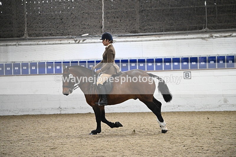 WJ7_4008 - Class 17 Ridden Cob