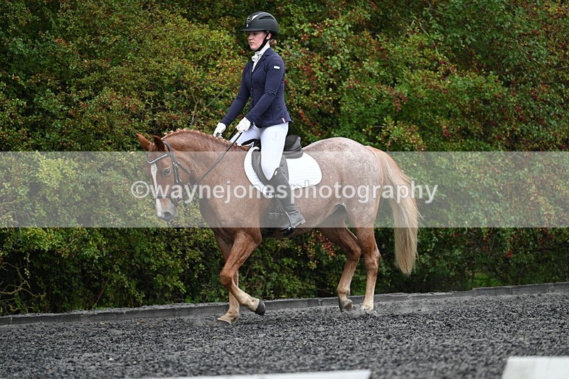 WJ7_3313 - Time 09:54 to 10:54