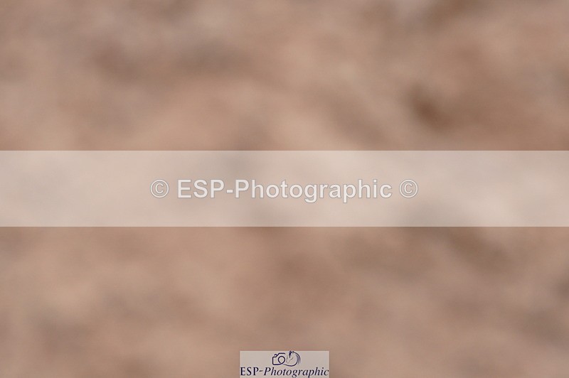 240720A-110516-14260 - Cls 3, 3 Star Small Tour 1.40m