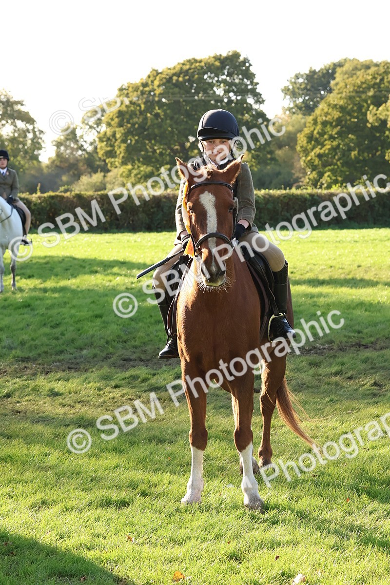 SBM_52675 - S13 - Pony Club Pony