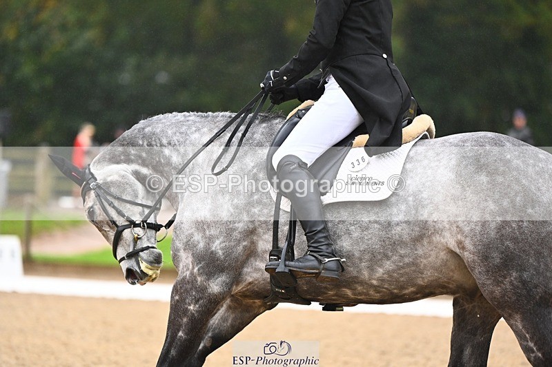 231021-103154-14690 - 336-SAUNDERSCOURT.AMBASSADOR-Adam.Trew-DR