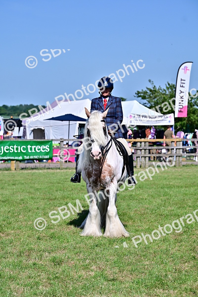 SBM_19463 - Class 101-102 - BSPS LIHS Performance Coloured Horse/Pony