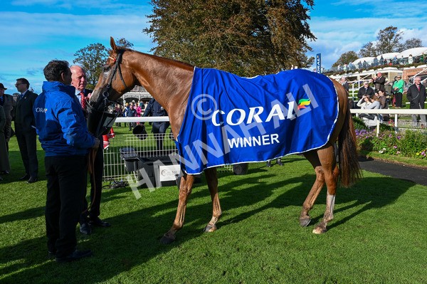 141023-Race 3-Montassib-8942 - Race 3 2.25pm Coral Sprint Trophy Handicap