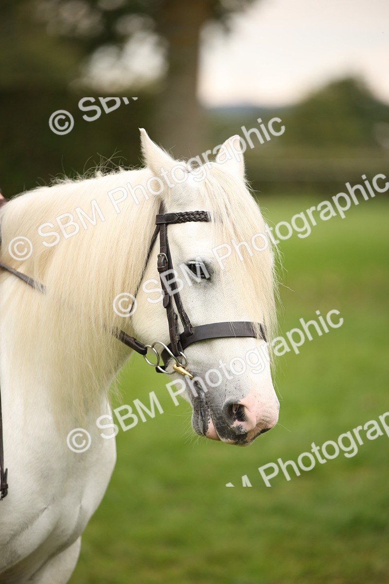 SBM_73530 - S68 - Traditional Cob Ridden