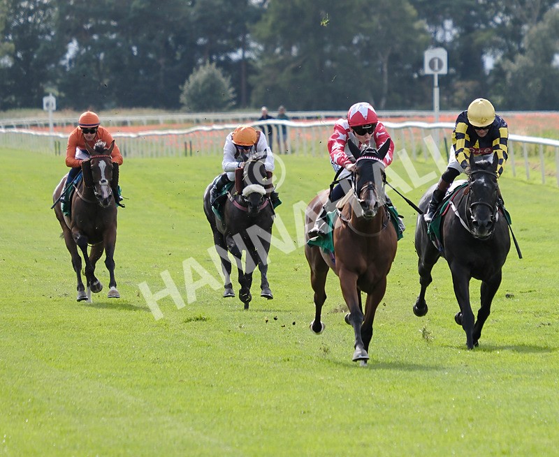 260724-Race 5-Etoile dAlexandre-02 - Race 5