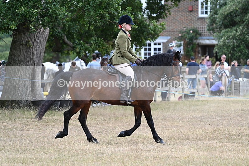 WJ7_0600 - Class 6 Ridden Mountain and Moorland