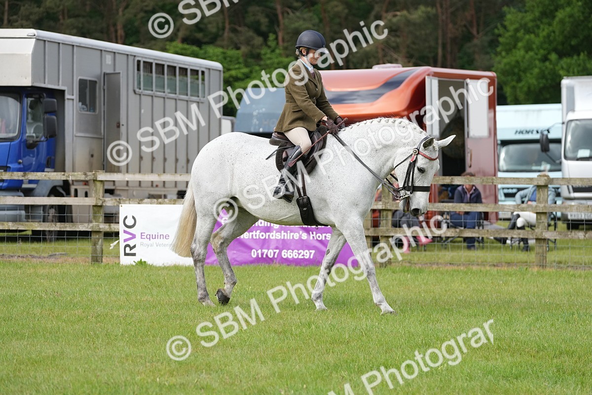 SBM_10604 - Class 97-98 - LIHS BSHA Rising Star Working Show Horse Hunter