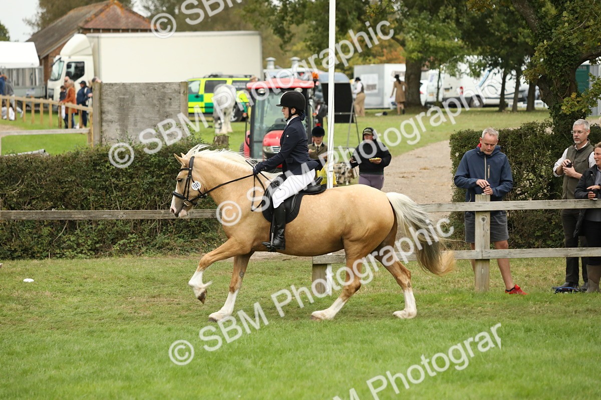 SBM_73713 - S41 - Ridden Equitation (Best Rider)