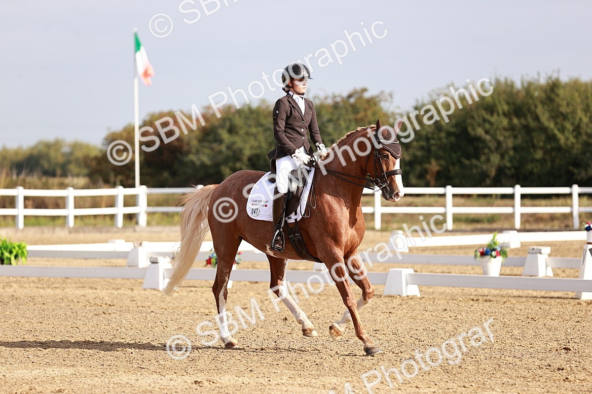 SBM_016847 - Class 10 - Medium 6