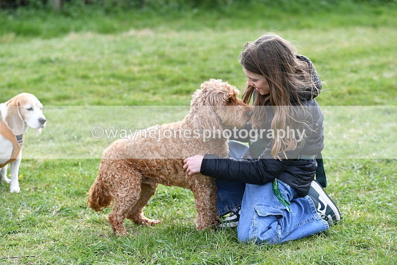 WJ5_0192 - Class 5 Best Veteran / 7 years & over