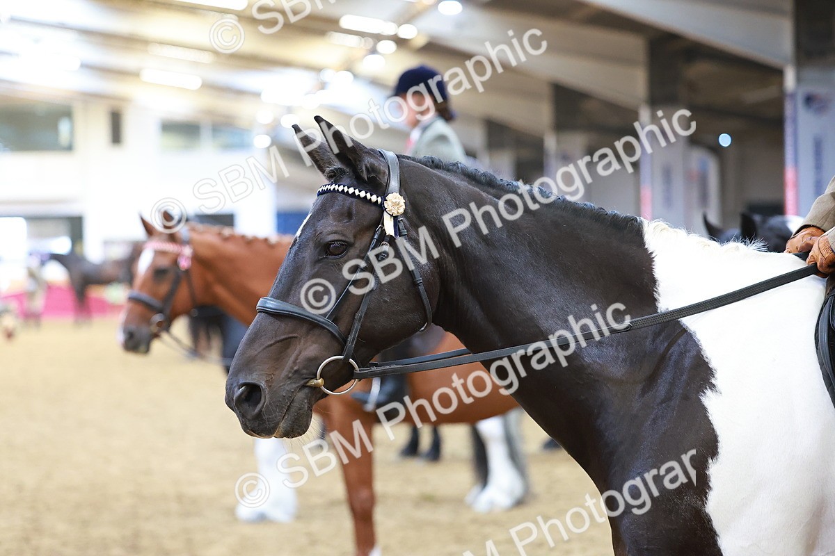 SBM_09718 - Class 102 - HOYS Veteran Qualifier - Ridden Veteran
