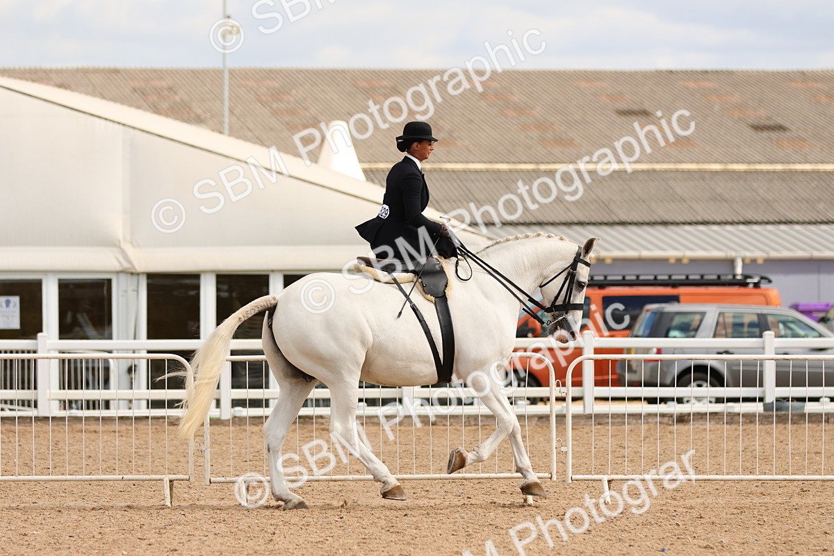 SBM_15902 - Class 216 - Best Side Saddle Horse-Pony