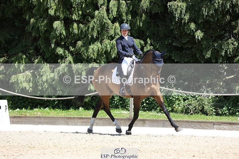 230526-135334-06413 - 369-GIDO_G-Sally_Chamberlain-WEDTrotUp+DR