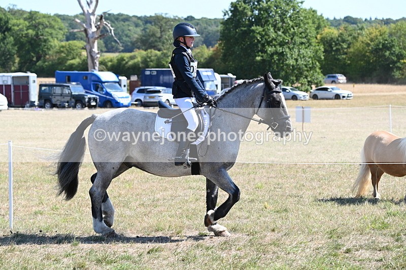 WJ6_8293 - Class 37a Best Loan Pony Ridden