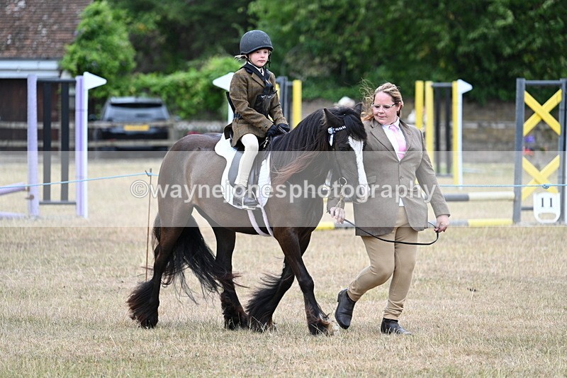 WJ7_8152 - Class 4 Prettiest Mare up to 14.2hh