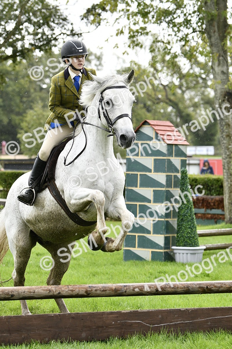SBM_41429 - S32 - Mountain & Moorland Working Hunter Pony