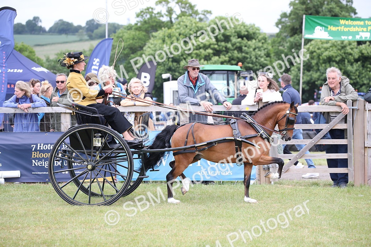 SBM_05911 - Class 12-15 - HOYS Private Driving