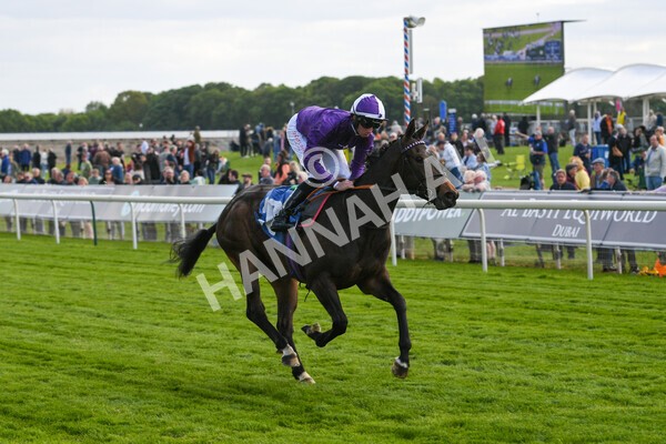 yr12052022r6-18 - Race 6 4.45pm Frank Whittle Partnership EBFstallions.com Maiden Stakes