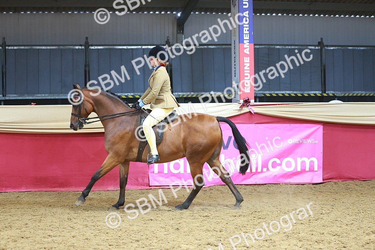 SBM_12477 - Class 103 - HOYS Veteran Qualifier - Ridden Pre Vet