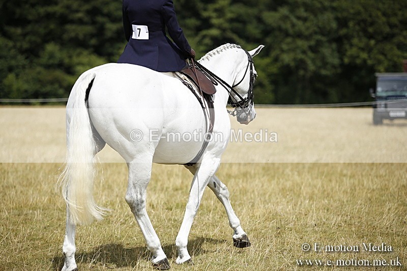 _C7A0290 - Side Saddle Classes BVRC Show 2018