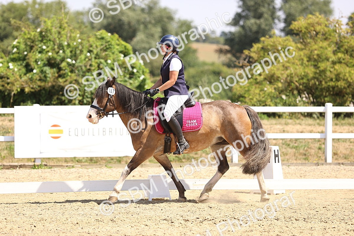 SBM_003960 - Intro 2