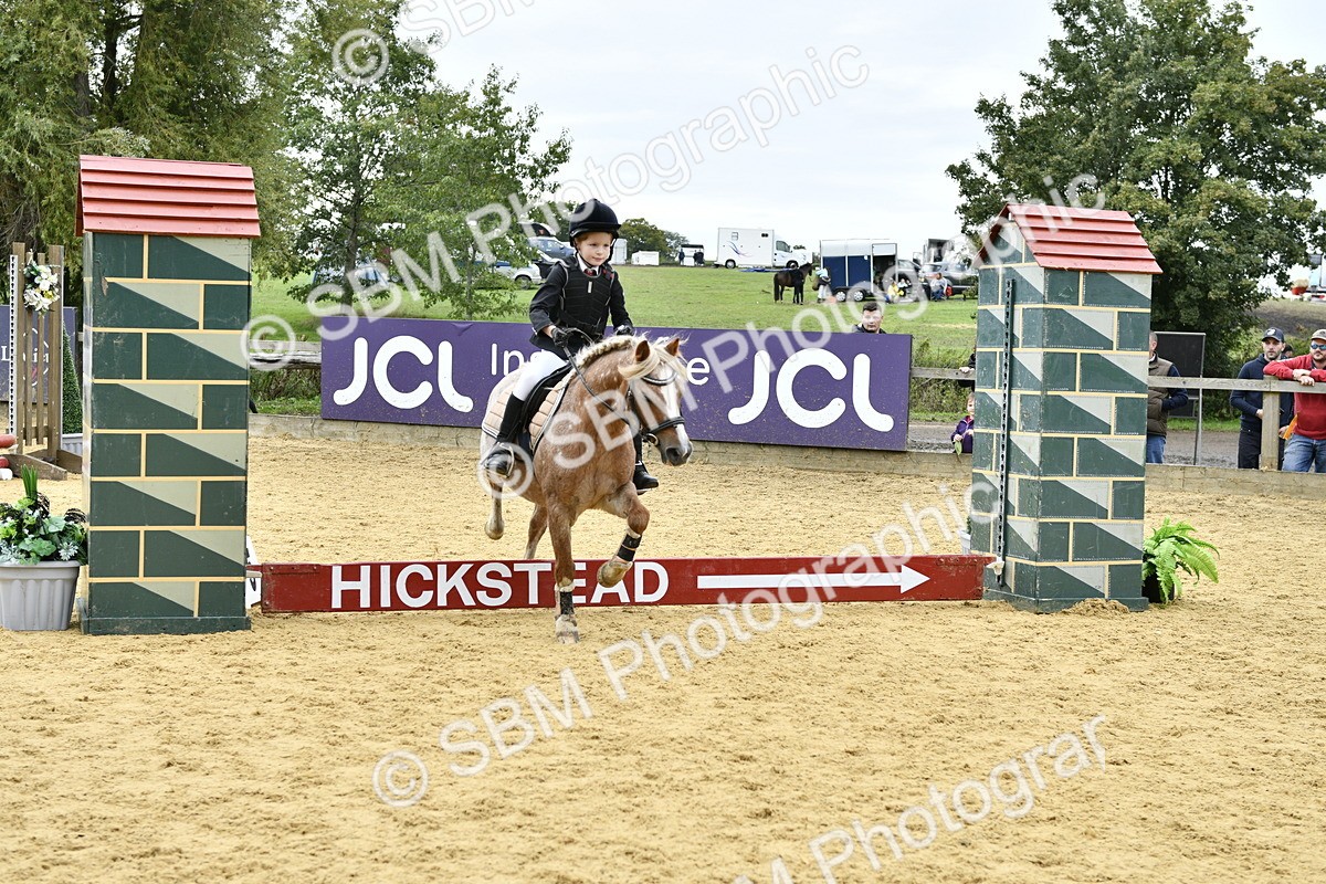 SBM_65517 - J2a mini Tour Junior Pony 30cm Championship
