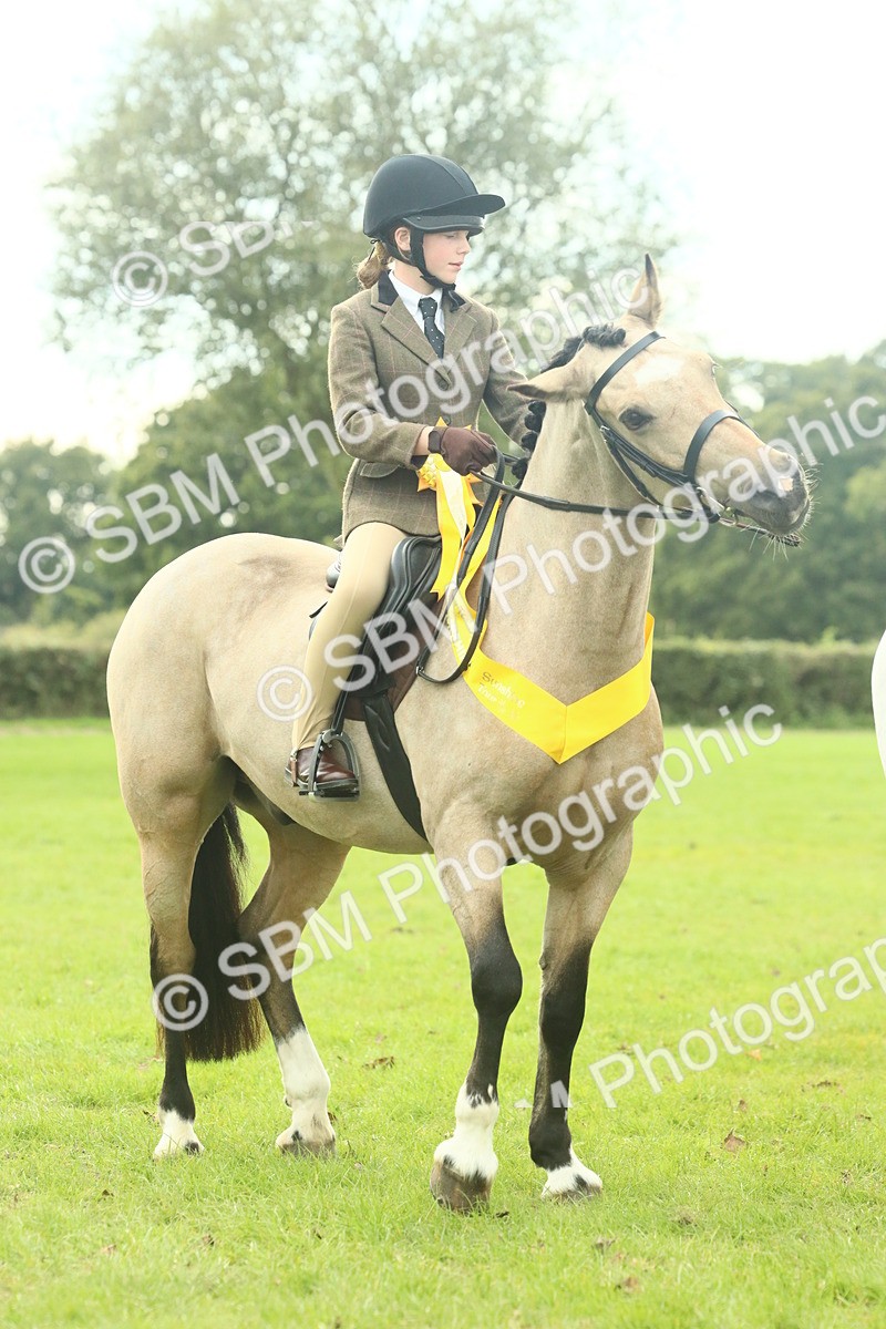 SBM_74124 - S 61 - Show Pony & Show Hunter Pony Ridden