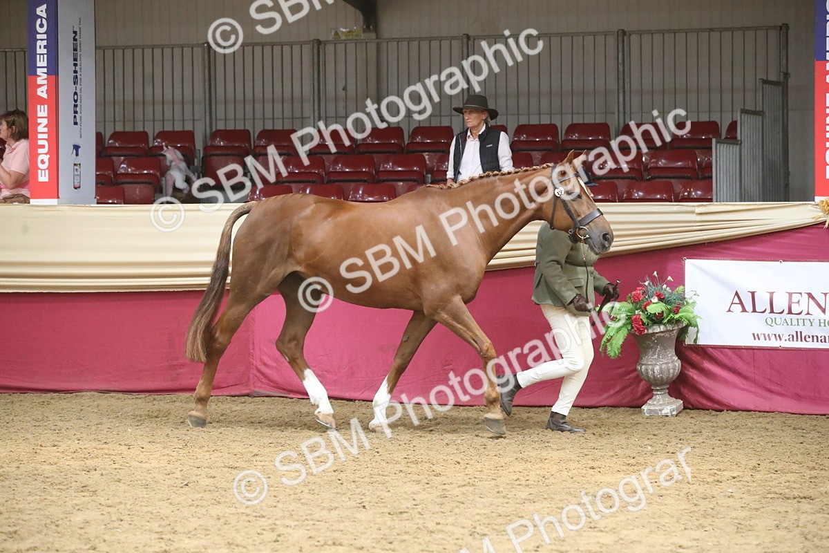 SBM_05491 - Class 9R - Regional IH Pre-Vet