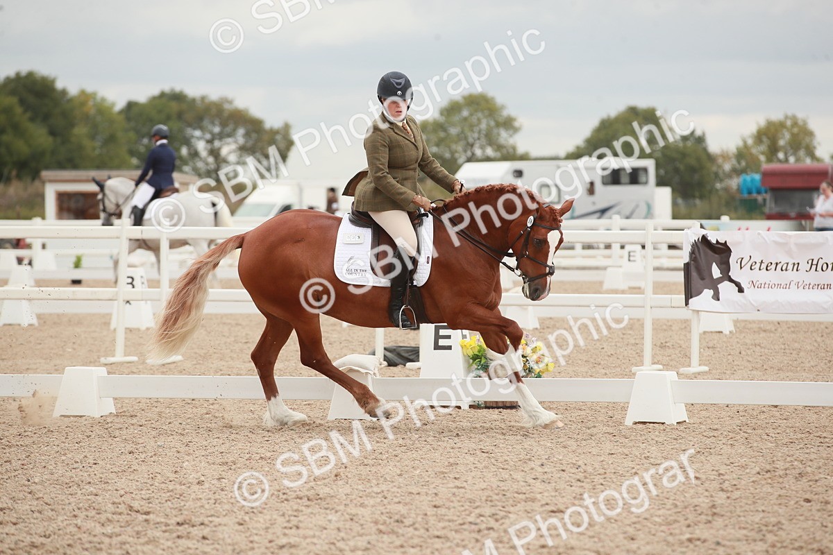 SBM_06100 - Class 33 - Elementary 1