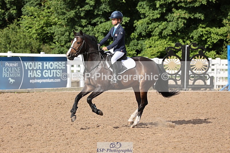 240629A-083104-02584 - Cls 16 British Novice and 80cm Open