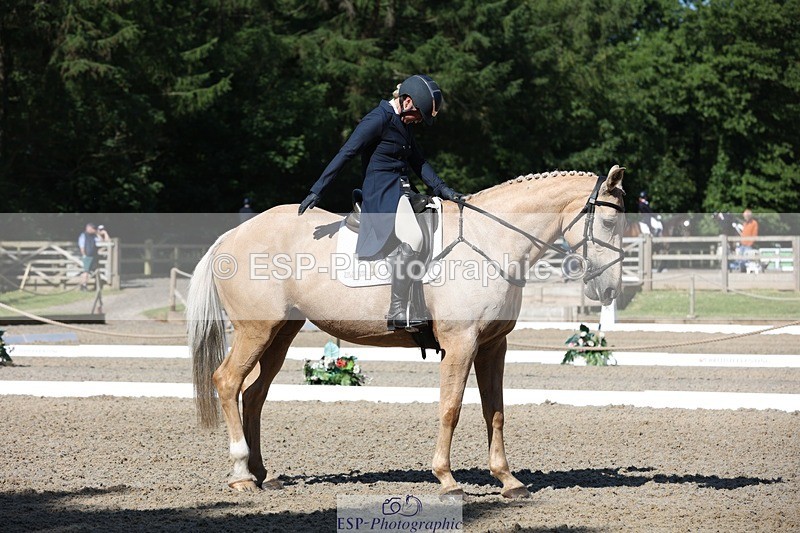 230526-093824-05120 - 356-THE_DUMB_BLONDE-Kat_Raybould-WEDTrotUp+DR
