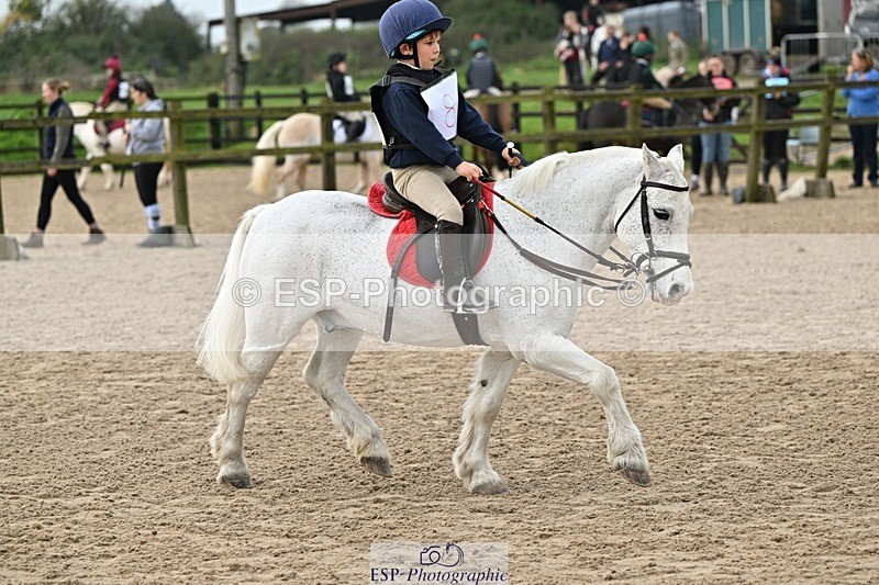 241110-113652-00477 - 50-55cm Arena Eventing