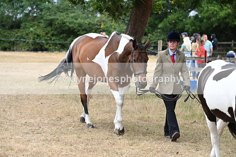 WJ6_7942 - Class 10 Coloured in Hand