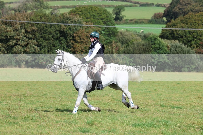 3E7A6586 - Class 1: Trebudannon Open: Pheasant Feeder