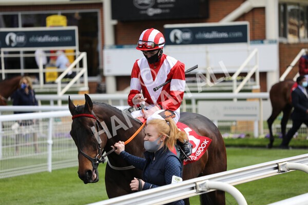  - Race 3 2.40pm The Matchbook Betting Podcast Hambleton Stakes